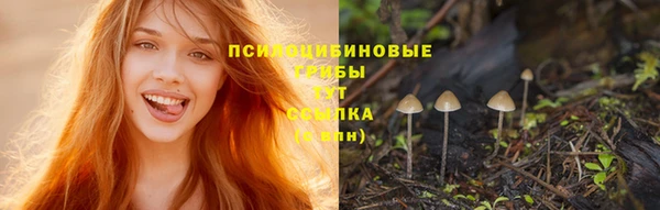 бутират Ладушкин