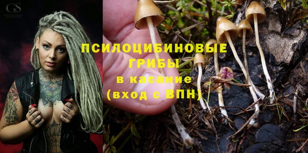 бутират Ладушкин