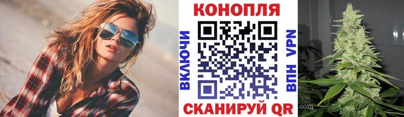 закладка  Курильск  Конопля гибрид 